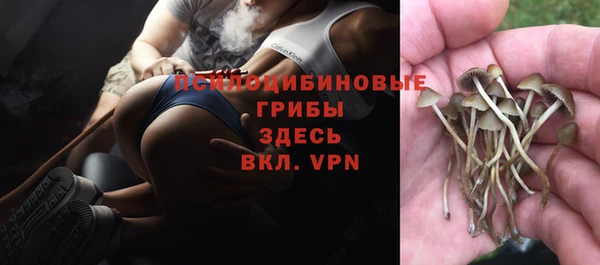 прущий лед Аркадак