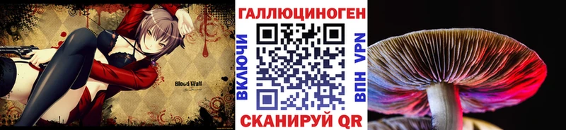 Галлюциногенные грибы Psilocybine cubensis  Петухово 